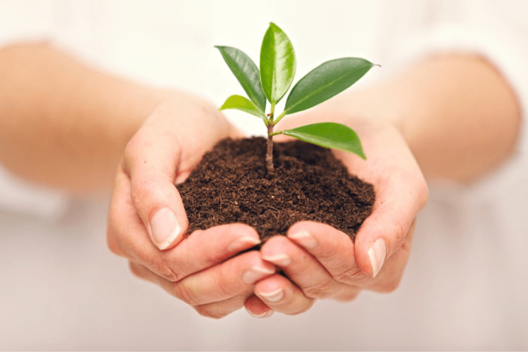 save-trees-hindi-poetry